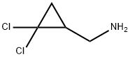 (2,2-DICHLOROCYCLOPROPYL)METHYLAMINE Struktur