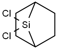 7,7-Dichloro-7-silabicyclo[2.2.1]heptane Struktur