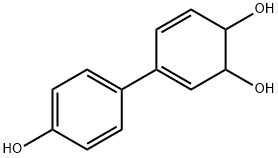 3,5-Cyclohexadiene-1,2-diol, 4-(4-hydroxyphenyl)- (9CI) Struktur