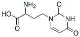 1-(3'-amino-3'-carboxypropyl)uracil Struktur