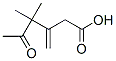 4,4-Dimethyl-3-methylene-5-oxohexanoic acid Struktur