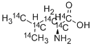 L-LEUCINE-UL-14C Struktur