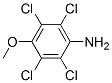 2,3,5,6-Tetrachloro-4-methoxyaniline Struktur