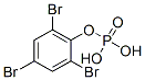 BPP Struktur