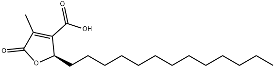 (R)-2-tridecyl-2,5-dihydro-4-methyl-5-oxo-3-furoic acid Struktur