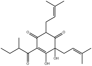 2,6-Diprenyl-5,6-dihydroxy-4-(1-oxo-2-methylbutyl)-4-cyclohexene-1,3-dione Struktur