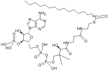 PALMITOYL COENZYME A, [PALMITOYL-1-14C] Struktur