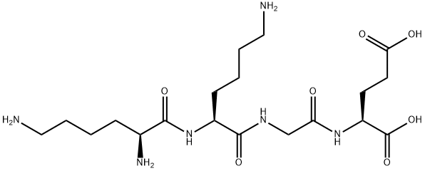 LYS-LYS-GLY-GLU Struktur