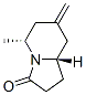 3(2H)-Indolizinone,hexahydro-5-methyl-7-methylene-,(5R,8aS)-(9CI) Struktur