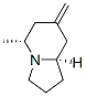 Indolizine, octahydro-5-methyl-7-methylene-, (5R,8aR)- (9CI) Struktur