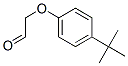 [4-(1,1-dimethylethyl)phenoxy]acetaldehyde  Struktur