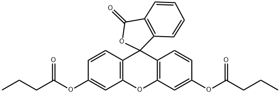 FLUORESCEIN DIBUTYRATE Struktur