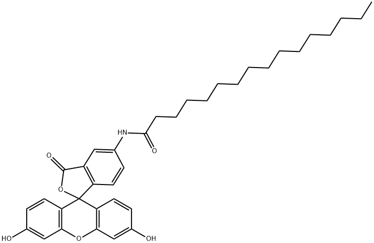 5-HEXADECANOYLAMINOFLUORESCEIN Struktur