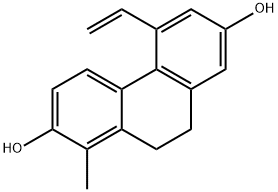 EFFUSOL Struktur