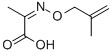 Propanoic acid, 2-[[(2-methyl-2-propenyl)oxy]imino]- (9CI) Struktur