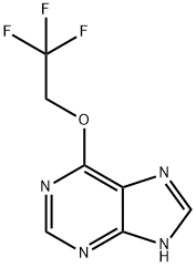 6-(2,2,2-Trifluoroethoxy)-1H-purine Struktur