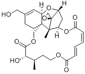 16-HYDROXYVERRUCARINA Struktur