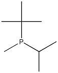 tert-Butyl(methyl)isopropylphosphine Struktur