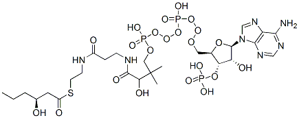 S-[2-[3-[[4-[[[(2R,3S,4R,5R)-5-(6-aminopurin-9-yl)-4-hydroxy-3-phosphonooxyoxolan-2-yl]methoxy-hydroxyphosphoryl]oxy-hydroxyphosphoryl]oxy-2-hydroxy-3,3-dimethylbutanoyl]amino]propanoylamino]ethyl] (3S)-3-hydroxyhexanethioate Struktur