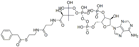 Phenylacetyl-CoA Struktur