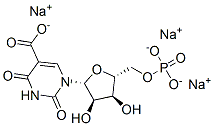 SODIUM5URIDILATE Struktur