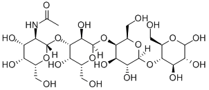 Globo-N-tetraose Struktur