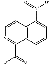 5-Nitroisoquinoline-1-carboxylic acid Struktur