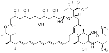 N-D-Ornithylamphotericin B methyl ester Struktur