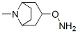 8-Azabicyclo[3.2.1]octane,3-(aminooxy)-8-methyl-,exo-(9CI) Struktur