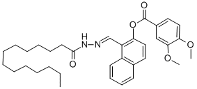 SALOR-INT L403474-1EA Struktur