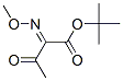 2-Methoxyimino-3-oxobutyric acid tert-butyl ester Struktur