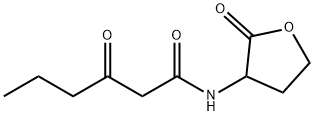 N-(KETOCAPROYL)-D,L-HOMOSERINE LACTONE