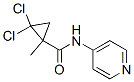 Cyclopropanecarboxamide, 2,2-dichloro-1-methyl-N-4-pyridinyl- (9CI) Struktur