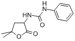 1-(5,5-Dimethyl-2-oxotetrahydro-3-furyl)-3-phenylurea Struktur