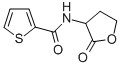 2-Thiophenecarboxamide, N-(2-oxotetrahydro-3-furyl)- Struktur