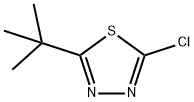 2-tert-butyl-5-chloro-1,3,4-thiadiazole Struktur