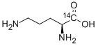 L-ORNITHINE, [1-14 C] Struktur