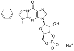 BETA-PHENYL-1,N2-ETHENOGUANOSINE-3',5'-CYCLIC MONOPHOSPHATE SODIUM SALT Struktur