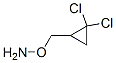 Hydroxylamine, O-[(2,2-dichlorocyclopropyl)methyl]- (9CI) Struktur