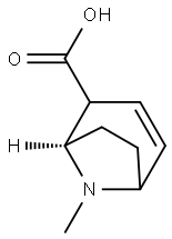 8-Azabicyclo[3.2.1]oct-3-ene-2-carboxylicacid,8-methyl-,(1R)-(9CI) Struktur