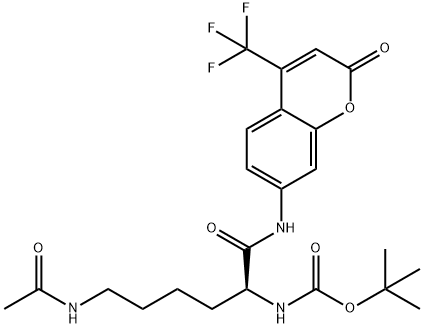 BATCP Struktur