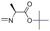 L-Alanine, N-methylene-, 1,1-dimethylethyl ester (9CI) Struktur