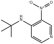 4-(TERT-BUTYLAMINO)-3-NITROPYRIDINE Struktur