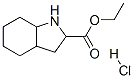 ethyl octahydro-1H-indole-2-carboxylate hydrochloride Struktur