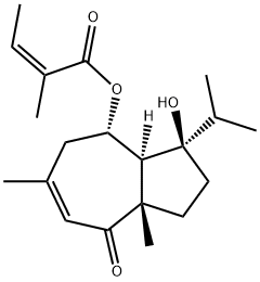 Lapidin Struktur