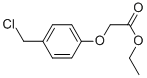 (4-CHLOROMETHYL-PHENOXY)-ACETIC ACID ETHYL ESTER Struktur