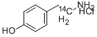 HYDROXYPHENYLETHYLAMINE HYDROCHLORIDE, [1-14C] Struktur