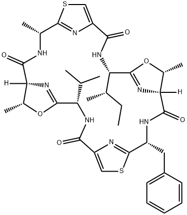 PATELLAMIDE C Struktur