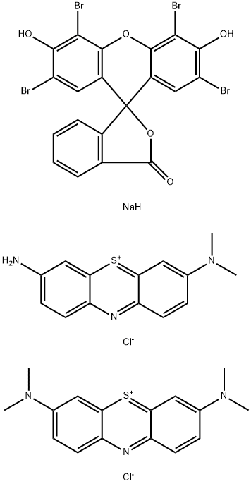 TETRACHROME STAIN Struktur