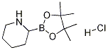 2-(4,4,5,5-tetramethyl-1,3,2-dioxaborolan-2-yl)piperidine hydrochloride Struktur